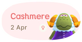 Cashmere 2 April