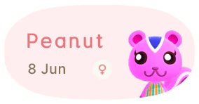 Peanut 8 June