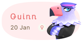 Quinn 20 January