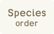 Species order