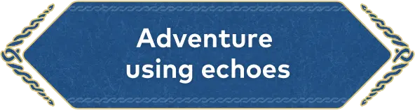 Adventure using echoes