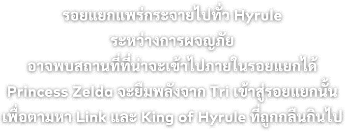 รอยแยกแพร่กระจายไปทั่ว Hyrule ระหว่างการผจญภัย อาจพบสถานที่ที่น่าจะเข้าไปภายในรอยแยกได้ Princess Zelda จะยืมพลังจาก Tri เข้าสู่รอยแยกนั้น เพื่อตามหา Link และ King of Hyrule ที่ถูกกลืนกินไป