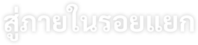 สู่ภายในรอยแยก