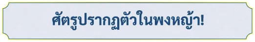 ศัตรูปรากฏตัวในพงหญ้า!