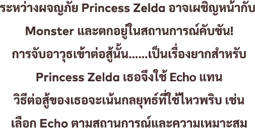 ระหว่างผจญภัย Princess Zelda อาจเผชิญหน้ากับ Monster และตกอยู่ในสถานการณ์คับขัน! การจับอาวุธเข้าต่อสู้นั้น……เป็นเรื่องยากสำหรับ Princess Zelda เธอจึงใช้ Echo แทน วิธีต่อสู้ของเธอจะเน้นกลยุทธ์ที่ใช้ไหวพริบ เช่น เลือก Echo ตามสถานการณ์และความเหมาะสม