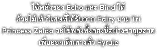 ใช้พลังของ Echo และ Bind ได้ ด้วยไม้เท้าวิเศษที่ได้รับจาก Fairy นาม Tri Princess Zelda จะใช้พลังทั้งสองนี้อย่างชาญฉลาด เพื่อออกเดินทางทั่ว Hyrule