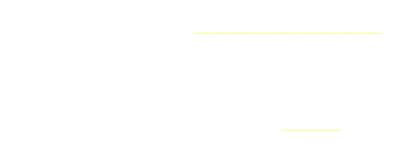 ความสามารถในการ เชื่อมต่อ=ซิงโครไนซ์ Princess Zelda กับสิ่งต่าง ๆ ใน Hyrule ตั้งแต่เครื่องเรือนหรืออาหาร หินก้อนใหญ่หรือหีบสมบัติ รวมไปถึง Monster เรียกว่า Bind  Bind มีวิธีใช้งานสองแบบ