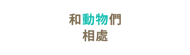 どうぶつとのふれあい