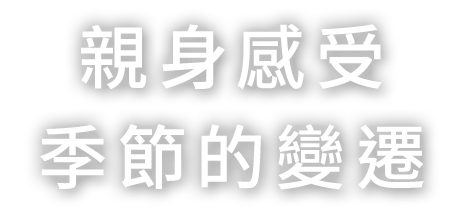 季節の流れに身をまかせ、