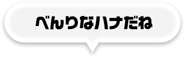 べんりなハナだね