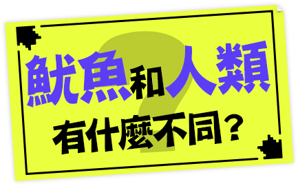 魷魚和人類有什麼不同？